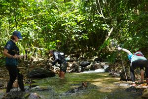 BIB: 
                            <button type="button" onclick="openModal(21843465)" class="btn btn-primary btn-sm float-right btn-popup" data-toggle="modal" data-target=".modal-high-quality">
                        <i class="fas fa-shopping-cart"></i> Add to Cart
                    </button>
                                            <button type="button" onclick="isThisMe(21843465, true)" class="btn btn-success btn-sm float-right btn-popup btn-isme hidden" data-toggle="tooltip" data-placement="bottom" title="นี่คือรูปของคุณใช่ไหม คลิกที่นี่เพื่อเอาเข้าอัลบั้ม">
                        <i class="fas fa-plus"></i> Add to album
                    </button>
                    <button type="button" onclick="isThisMe(21843465, false)" class="btn btn-warning btn-sm float-right btn-popup btn-isnotme hidden">
                        <i class="fas fa-ban"></i> Remove from album
                    </button>